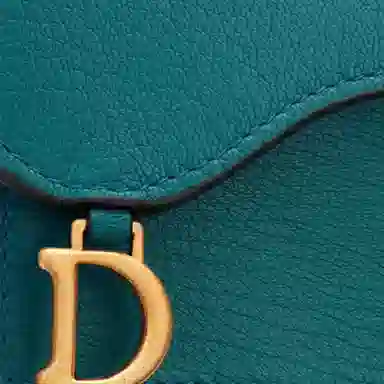 DIOR Saddle