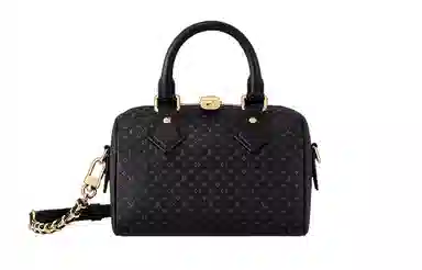 LOUIS VUITTON Speedy 20