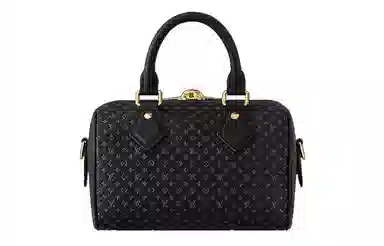 LOUIS VUITTON Speedy 20