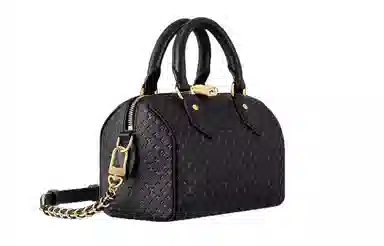LOUIS VUITTON Speedy 20
