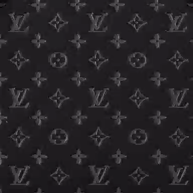 LOUIS VUITTON Speedy 20