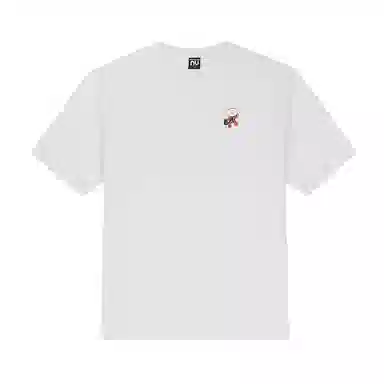 NORTHLAND PROFESSIONAL KK T