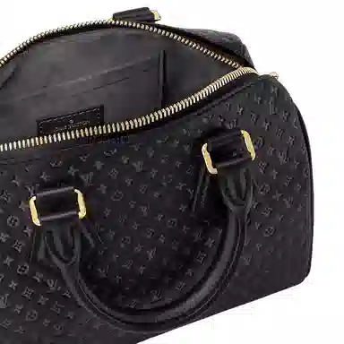 LOUIS VUITTON Speedy 20