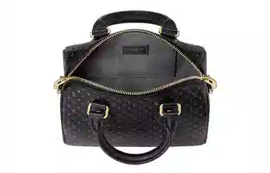 LOUIS VUITTON Speedy 20