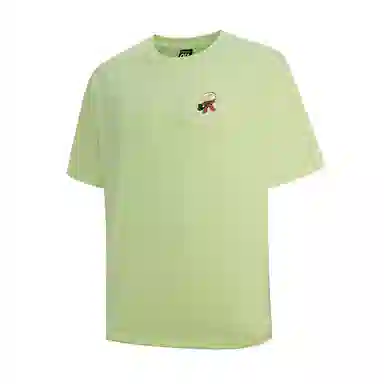 NORTHLAND PROFESSIONAL KK T