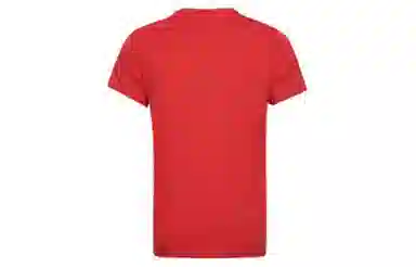 Burberry T