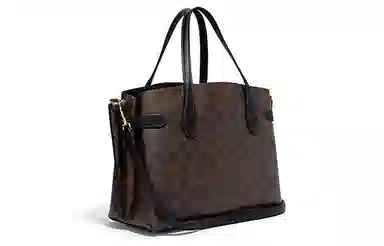 COACH Carryall