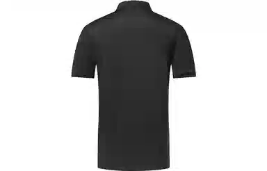 LogoPolo