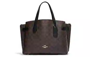 COACH Carryall