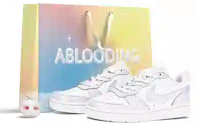 Nike Court Borough ABLOODING GS