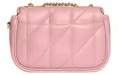 COACH Pillow 20