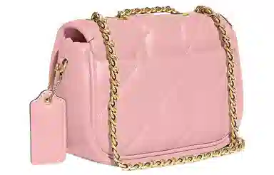 COACH Pillow 20