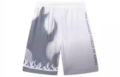 FireMonkey Gradient Flame Mesh Shorts