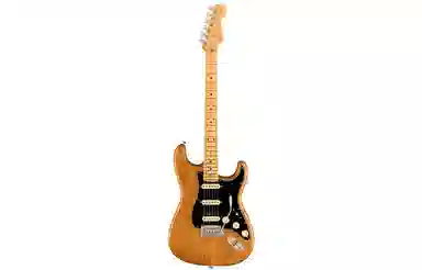 Fender American Professional II 2) Stratocaster HSS
