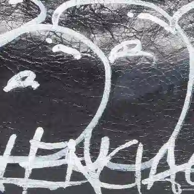 Balenciaga Le Cagole