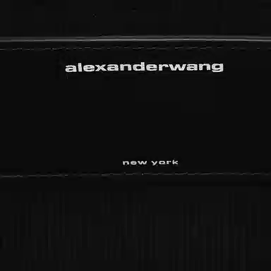 Alexander Wang Ryan