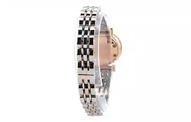 EMPORIO ARMANI 22mm AR1764