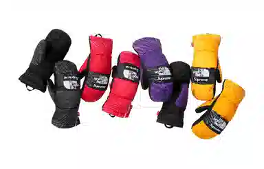 Supreme SS23 Week 3 SUPREMETHE NORTH FACE PRINTED MONTANA MITT