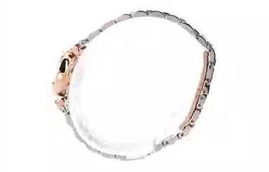 EMPORIO ARMANI 22mm AR1764