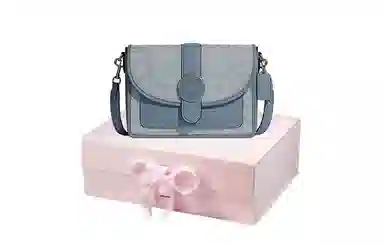 COACH Lonnie 25 Chambray