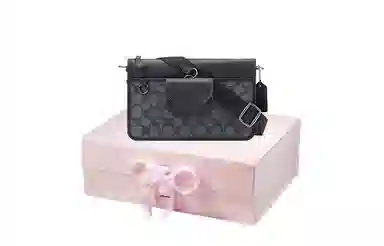 COACH Heritage 25