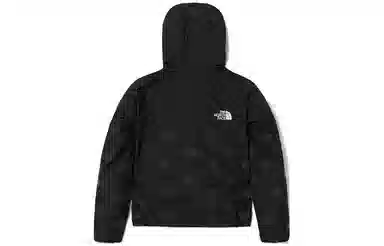 THE NORTH FACE Logo