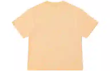 Dickies Logo Crewneck T-Shirt Ginger Yellow