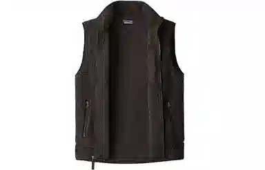 Patagonia Retro Fleece Vest