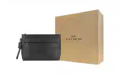 COACH Pouch 29