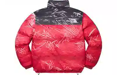 Supreme x The North Face Printed Nuptse Jacket
