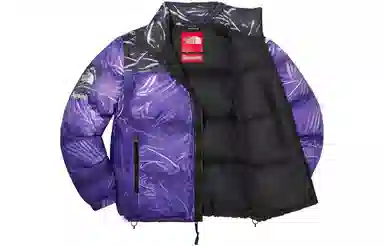 Supreme x The North Face Printed Nuptse Jacket
