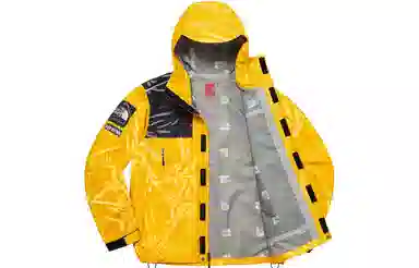 Supreme x The North Face Printed Mountain Pant