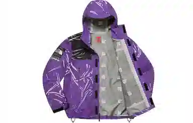 Supreme x The North Face Printed Mountain Pant