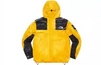 Supreme x The North Face Printed Mountain Pant