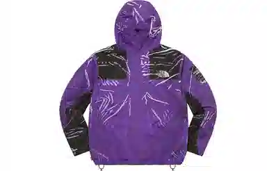 Supreme x The North Face Printed Mountain Pant