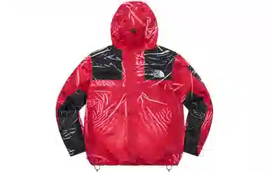 Supreme x The North Face Printed Mountain Pant