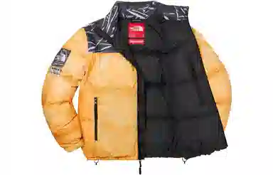 Supreme x The North Face Printed Nuptse Jacket