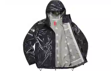 Supreme x The North Face Printed Mountain Pant