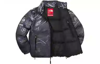 Supreme x The North Face Printed Nuptse Jacket