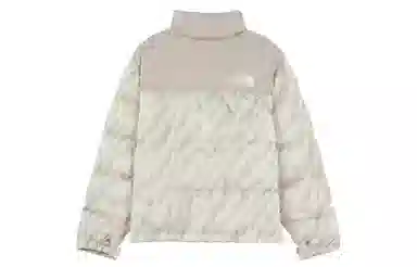 The North Face 1996 Retro Nuptse Silver Grey White