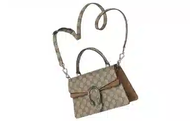 Gucci Dionysus Small