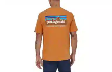 patagonia P-6 Mission Organic T-shirt LogoT