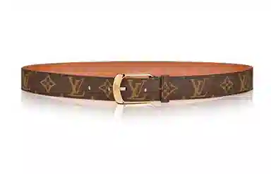 Louis Vuitton Ellipse Belt