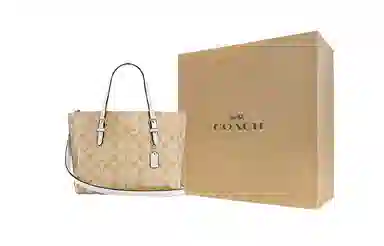 COACH Mollie 25 Tote