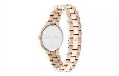 CKCalvin Klein CK 25200131