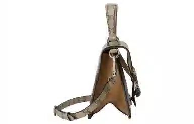 Gucci Dionysus Small