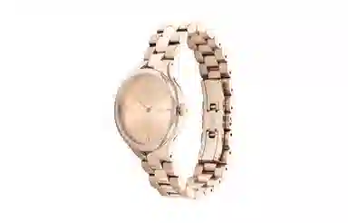 CKCalvin Klein CK 25200131