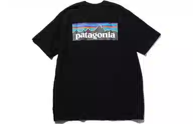 patagonia P-6Logo Responsibili LogoT