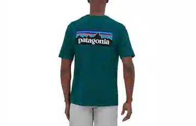 patagonia P-6Logo Responsibili LogoT