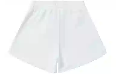 Champion SS23 Rochester Logo